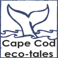 Cape Cod Eco-Tales