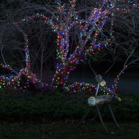 Gallery 1 - Gardens Aglow - A Treasured Holiday Tradition