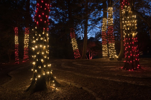 Gallery 2 - Gardens Aglow - A Treasured Holiday Tradition