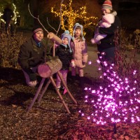 Gallery 4 - Gardens Aglow - A Treasured Holiday Tradition
