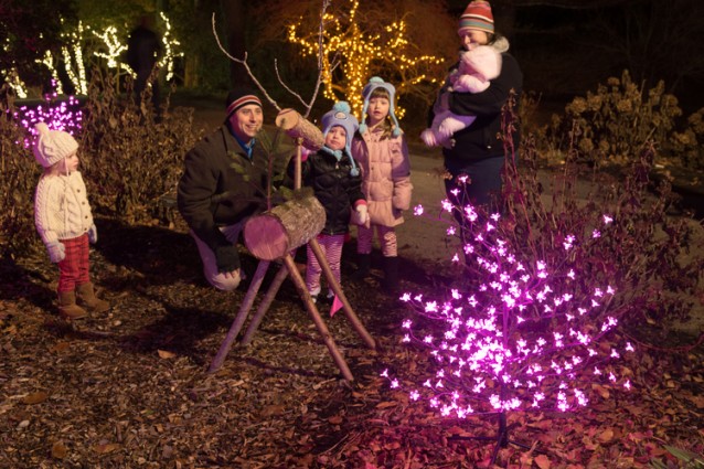 Gallery 4 - Gardens Aglow - A Treasured Holiday Tradition
