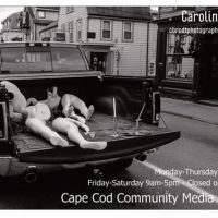 Gallery 1 - Photography of Caroline Brodt