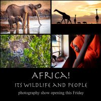 "Africa: Its Wildlife and People" Photography Show Opening