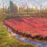 Gallery 2 - Cape Cod Views: New Exhibition at The Gallery at Tree's Place