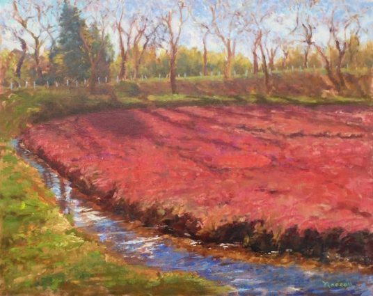 Gallery 2 - Cape Cod Views: New Exhibition at The Gallery at Tree's Place