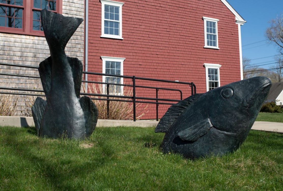 A statue of a fish on the lawn of the Cahoon Museum of American Art. 