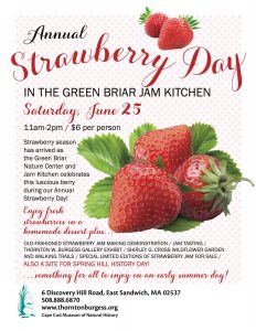 Annual Strawberry Day