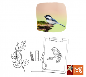 Birding Illustration Workshop