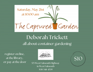 Container Gardens with Horticulturalist Deborah Trickett