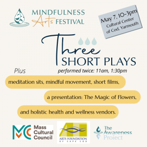 Mindfulness Arts Festival
