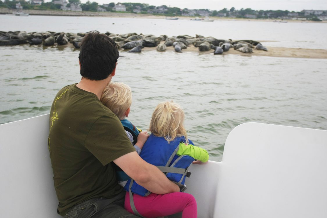 A family enjoys the seals during a Monomoy Island Excursions tour.
