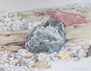 Colored Pencil Drawing: Rocks and Shells, with Cla...