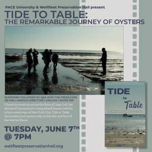 PaceDocs Film Screening: Tide to Table: The Remarkable Journey of Oysters