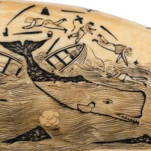 Scrimshaw: The Whaler’s Art