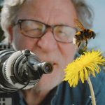 Nature Screen Presents "My Garden of a Thousand Bees"