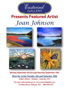 Joan Johnson - Meet the Artist and Special Featured Artist Exhibit
