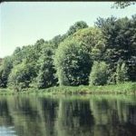 Restoring the Charles River Watershed