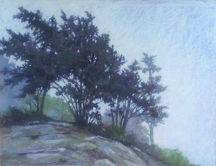 Gallery 3 - Eileen Casey- Painting in Soft Pastel