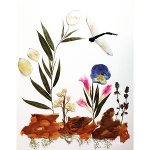 Nature Collage & Journaling Camp! (ages 9+) With Stephanie King 