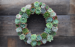 Succulent Wreath Workshop with Anna Holmes