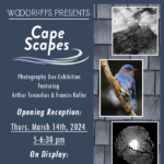 Cape Scapes Opening Reception!