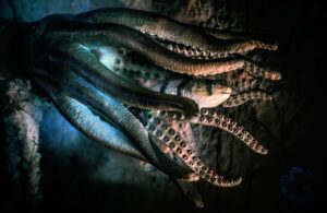 Nature Screen presents "Octopus: Making Contact"" during April School Vacation