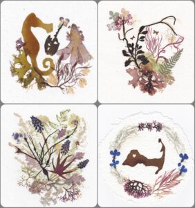 Pressing Matters: Botanical and Seaweed Design with Stephanie King 